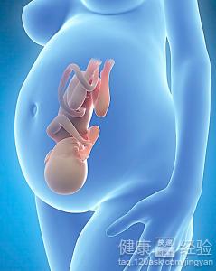 怀孕一个月吃什么好:怀孕一个月吃什么好?营养均衡助宝宝健康起步