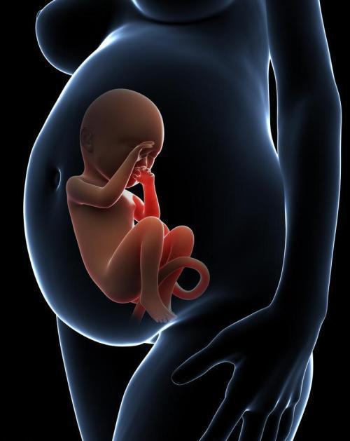 怀孕一个月吃什么好:怀孕一个月吃什么好?营养均衡助宝宝健康起步 怀孕一个月吃什么好:怀孕一个月吃什么好?营养均衡助宝宝健康起步