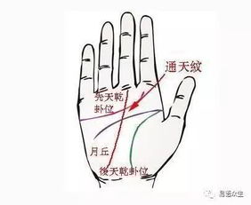 姻缘早已注定的手相图解:手相中的姻缘密码,解读你的前世今生 姻缘早已注定的手相图解:手相中的姻缘密码,解读你的前世今生