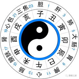 十二时辰的正确读音:十二时辰的正确读音,从子时到亥时,还原千年古法的发音密码