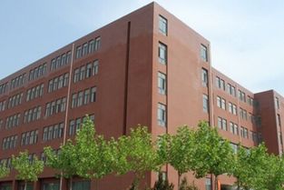 肝五项正常值对照表:肝五项检查完全指南,正常值对照表与解读