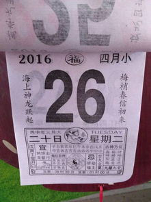 属牛的今年结婚吉日吉时：属牛的今年结婚吉日吉时指南