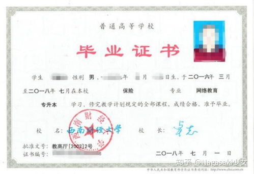 中专也叫职高吗（中专和职高一个档次吗）