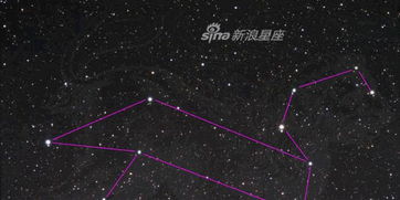 新浪星座查询官网:新浪星座查询官网,权威星象解读与个性化运势指南 新浪星座查询官网:新浪星座查询官网,权威星象解读与个性化运势指南