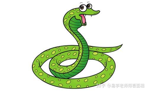 鼠和蛇结婚黄道吉日:鼠和蛇的婚配黄道吉日,传统与现代的完美结合 鼠和蛇结婚黄道吉日:鼠和蛇的婚配黄道吉日,传统与现代的完美结合