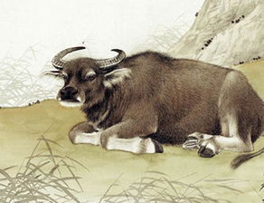 1985属牛的婚姻配对最佳:1985属牛的婚姻配对最佳指南,生肖相合与幸福婚姻的智慧选择 1985属牛的婚姻配对最佳:1985属牛的婚姻配对最佳指南,生肖相合与幸福婚姻的智慧选择