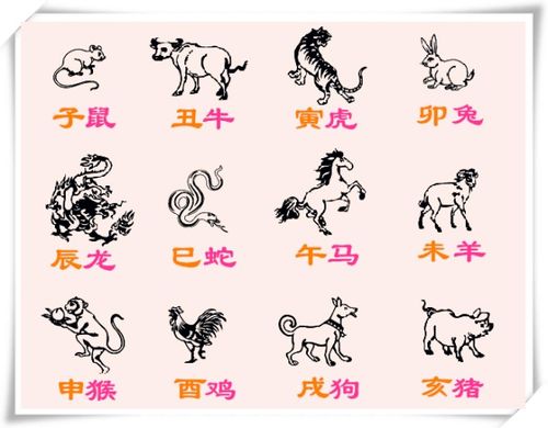 12生肖的顺序表:十二生肖顺序表,从子鼠到亥猪的完整排列与象征解析 12生肖的顺序表:十二生肖顺序表,从子鼠到亥猪的完整排列与象征解析