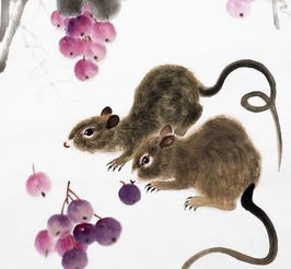 12生肖的顺序表:十二生肖顺序表,从子鼠到亥猪的完整排列与象征解析 12生肖的顺序表:十二生肖顺序表,从子鼠到亥猪的完整排列与象征解析