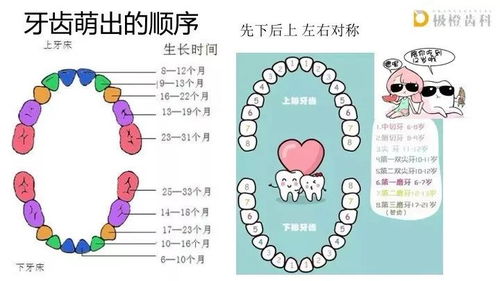 睡觉牙齿掉了是什么意思:解密梦中掉牙,科学与文化的双重解读