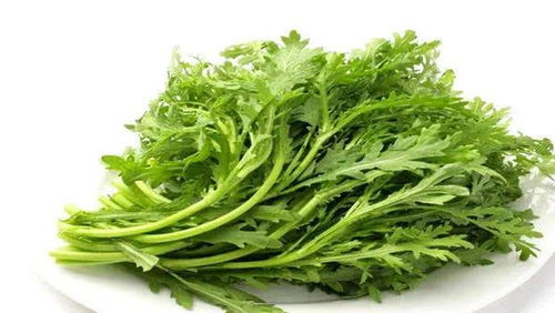 野茼蒿:野茼蒿,乡间野菜的清香与价值 野茼蒿:野茼蒿,乡间野菜的清香与价值