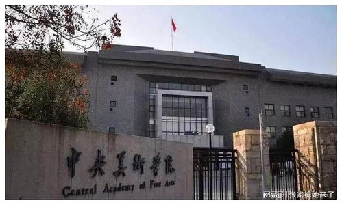 美术生450分能去央美吗（美术240分,文化400分能上什么大学）