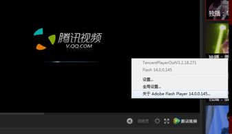 flash插件是干什么用的:Flash插件是干什么用的?