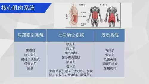 阴壁有许多颗粒是正常的吗:阴壁颗粒,常见现象还是健康隐患?