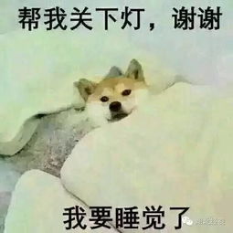 姻缘结萧招娣熬夜免费:姻缘一线牵,熬夜免费解难题,萧招娣助你寻得良缘