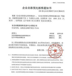 工商注册网上核名官网：工商注册网上核名全攻略，如何高效完成企业名称核准？