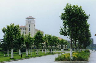 300分能上公办大专吗(300分可以上什么公办专科学校) 300分能上公办大专吗(300分可以上什么公办专科学校)