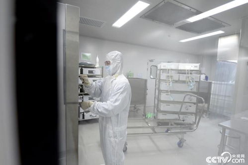 1978年多大:1978年出生的人如今多大?从改革开放到新时代的年龄对照史 1978年多大:1978年出生的人如今多大?从改革开放到新时代的年龄对照史