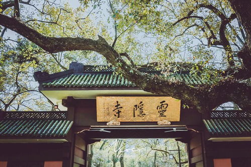 哪里求姻缘的庙比较灵:揭秘,全国最灵验的姻缘庙,单身人士必去的祈福圣地! 哪里求姻缘的庙比较灵:揭秘,全国最灵验的姻缘庙,单身人士必去的祈福圣地!