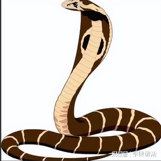 男人梦见蛇是怎么回事:男人梦见蛇的象征意义,心理学与传统文化视角下的解读 男人梦见蛇是怎么回事:男人梦见蛇的象征意义,心理学与传统文化视角下的解读