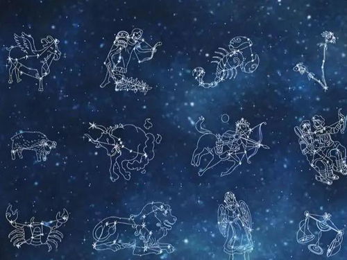 狮子座最不该爱上的星座:狮子座最不该爱上的星座,7个星座组合注定鸡飞狗跳,看完避雷指南再恋爱! 狮子座最不该爱上的星座:狮子座最不该爱上的星座,7个星座组合注定鸡飞狗跳,看完避雷指南再恋爱!