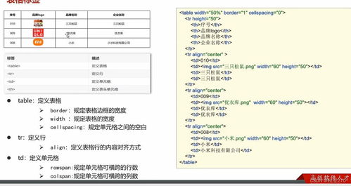 html评论页面模板:HTML评论页面模板,构建网站互动的基础
