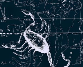 天蝎座下星期运势：天蝎座下星期运势揭秘，机遇与挑战并存，你的运势走向如何？