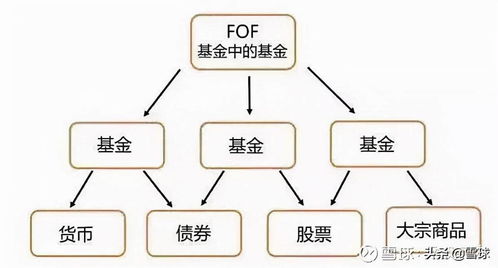 基金投资中常见的术语应该如何理解?