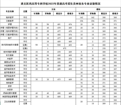 大专学校录取分数线(大专学校录取分数线2024)