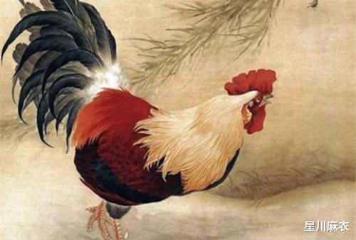 属鸡人今日运势:属鸡人今日运势,吉星高照,鸿运当头!这些提示助你把握良机