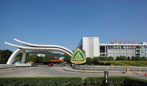 重庆邮电大学(重庆邮电大学移通学院)
