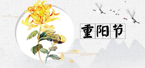 农历十月初一：月满西楼霜满阶，农历十月初一的传统与诗意