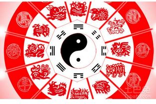 紫微黄历星座今日运势:紫微黄历星座今日运势,神秘力量加持,运势指南请收好! 紫微黄历星座今日运势:紫微黄历星座今日运势,神秘力量加持,运势指南请收好!