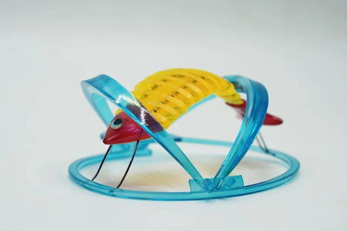 美术生的二本大学有哪些(艺术生保底二本大学) 美术生的二本大学有哪些(艺术生保底二本大学)