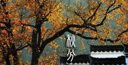 9月22日是什么日子:9月22日,秋分至·世界日·节气时 9月22日是什么日子:9月22日,秋分至·世界日·节气时