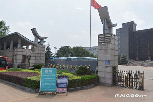 八大传媒学院排名(八大传媒学院排名研究生) 八大传媒学院排名(八大传媒学院排名研究生)