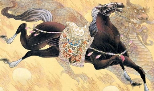 78年属马人终身寿命:1978年属马人终身寿命解析,命理与健康双重视角 78年属马人终身寿命:1978年属马人终身寿命解析,命理与健康双重视角