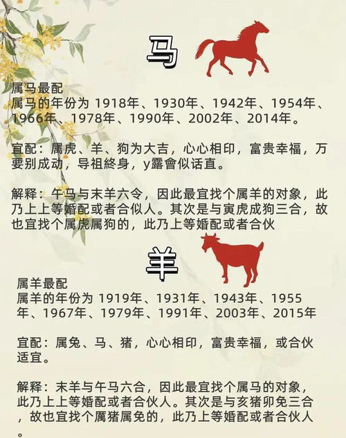 十二生肖配对表夫妻相克:十二生肖夫妻相克真相,哪些生肖组合易遇婚姻危机?