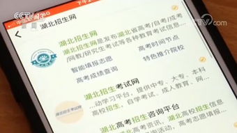 河南省招生考试院官网(河南省招生考试院官网电话)