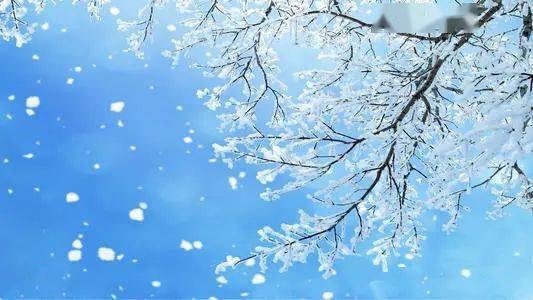 梦见大雪纷飞一会停了:昨夜梦中,大雪纷飞。那雪絮自天际簌簌而下,白茫茫一片,将整个世界都裹在了素色之中。我站在窗前,望着这银装素裹的世界,心中竟生出几分莫名的欢喜来