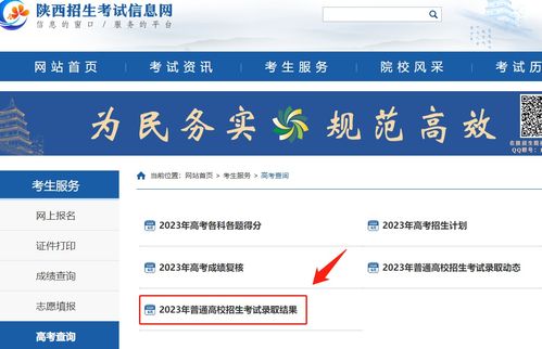 高考信息查询官网(高考信息查询官网入口网址)