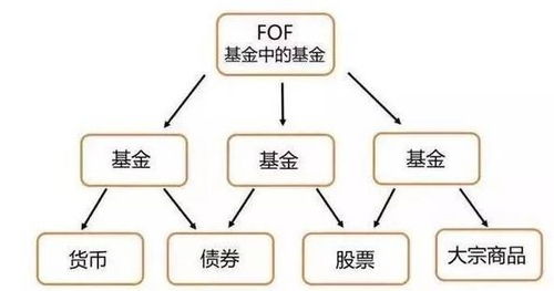 基金的投资组合与风险控制策略如何协同运作?