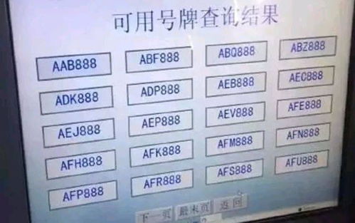 2023年最旺的车号:2023年最旺的车号揭晓,数字玄学+科学解析,助你招财纳福