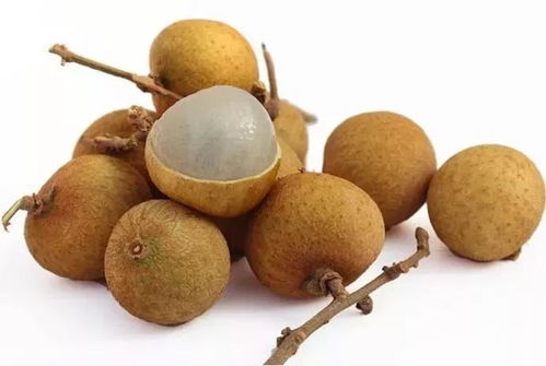 华蟾素的功效与作用副作用:华蟾素的功效与作用及副作用全面解析 华蟾素的功效与作用副作用:华蟾素的功效与作用及副作用全面解析