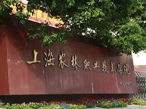 上海农林职业技术学院(上海农林职业技术学院地址) 上海农林职业技术学院(上海农林职业技术学院地址)