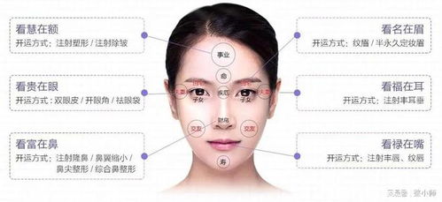 免费测面相:免费测面相,解锁你的命运密码,3分钟看懂面相学精准预测术 免费测面相:免费测面相,解锁你的命运密码,3分钟看懂面相学精准预测术