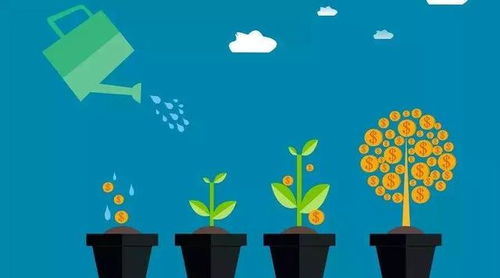 投资者在基金操作中应遵循哪些原则? 投资者在基金操作中应遵循哪些原则?