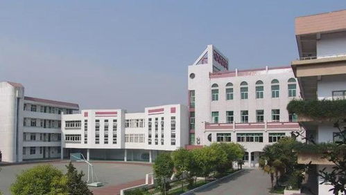 石家庄最垃圾的大专(石家庄最好的大专院校) 石家庄最垃圾的大专(石家庄最好的大专院校)