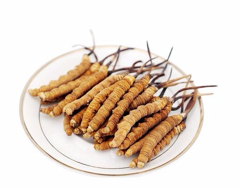 虫草图片:冬虫夏草图片,揭秘珍稀名贵中药材的视觉盛宴 虫草图片:冬虫夏草图片,揭秘珍稀名贵中药材的视觉盛宴