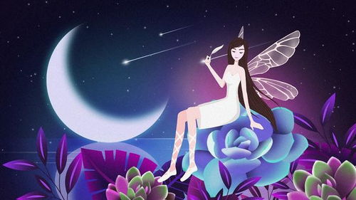 十二星座化身凤凰公主:十二星座化身凤凰公主,星辉映涅槃,银河共长歌 十二星座化身凤凰公主:十二星座化身凤凰公主,星辉映涅槃,银河共长歌