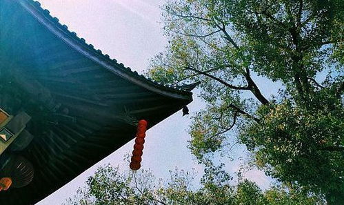 灵隐寺求姻缘在哪儿拜:灵隐寺求姻缘指南,何处祈福更灵验? 灵隐寺求姻缘在哪儿拜:灵隐寺求姻缘指南,何处祈福更灵验?